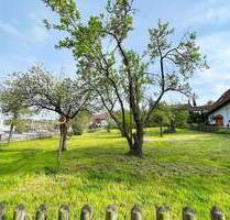 Eine Freude für die junge Familie: 