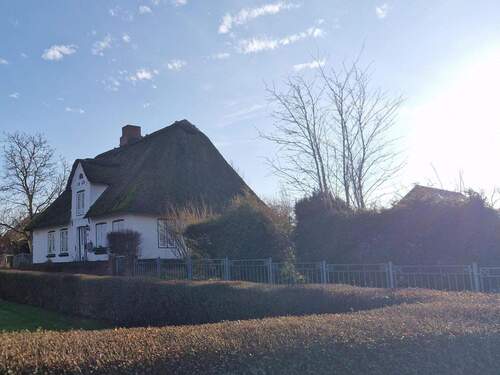 Hausansicht von der Straße - 3 Zimmer Einfamilienhaus in Mildstedt