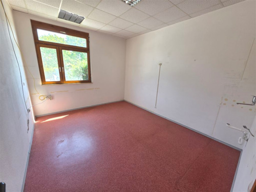 Zimmer - 