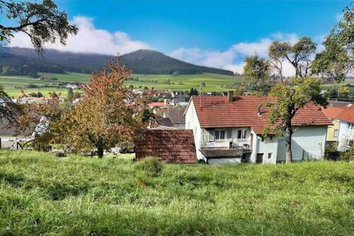 Ausblick vom Garten - 