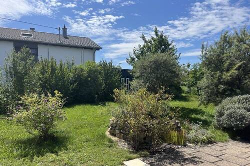 Garten mit Rasenflächen - 