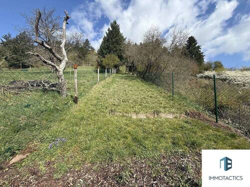 Garten - 