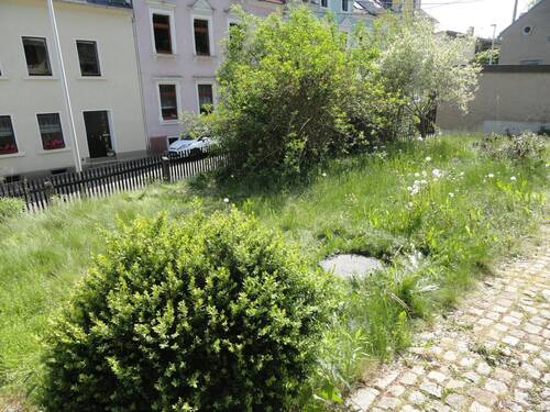 Blick in den vorderen Garten - 7 Zimmer Einfamilienhaus in Plauen