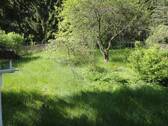 Blick in den Garten - 