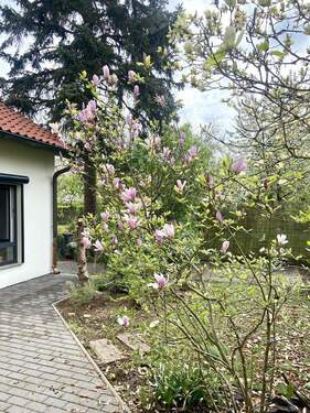 Bild 29 - 