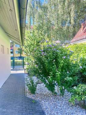 Haustür Richtung Garten-Pforte - 