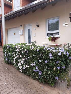 Hauseingang - 4 Zimmer Doppelhaushälfte zum Kaufen in Leidersbach