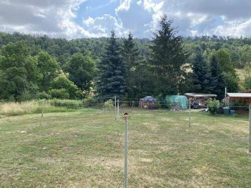 Schönes grünes Umfeld - 