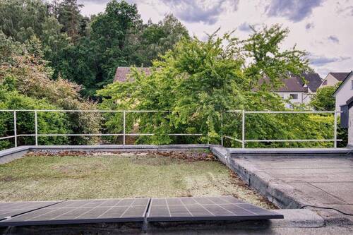Blick zum Wald - 
