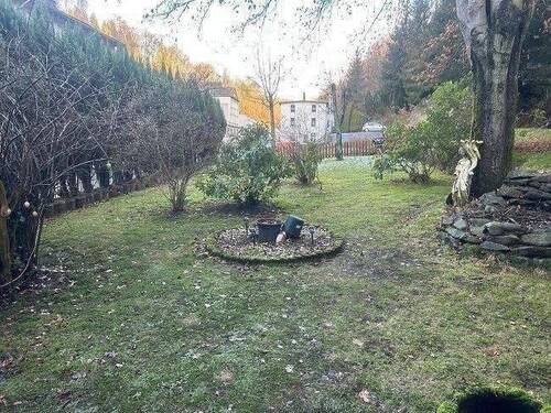 5.jpg - 