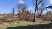 Bild 10 - 
