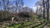 Bild 13 - 
