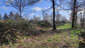 Bild 14 - 