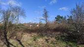 Bild 15 - 