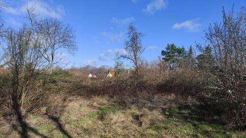 Bild 15 - 
