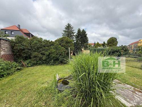 WhatsApp Image 2025-06-11 at 11.14.52 (33).jpg - 