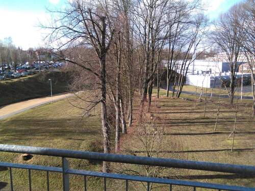 Sicht Balkon Melanch 40 - 