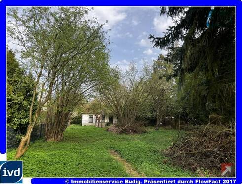 Blick von der Straße - Großzügiges Baugrundstück in herrlicher Lage