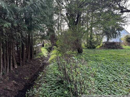 Blick vom Bungalow zur Straße - Grundstück in Petershagen-Eggersdorf zum Kaufen