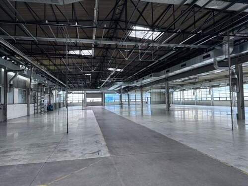 Halle - Halle in Dohna zur Miete