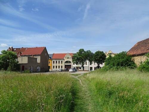 Blick zur Straße - Grundstück in Grimma