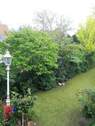 Garten-ebenso - 