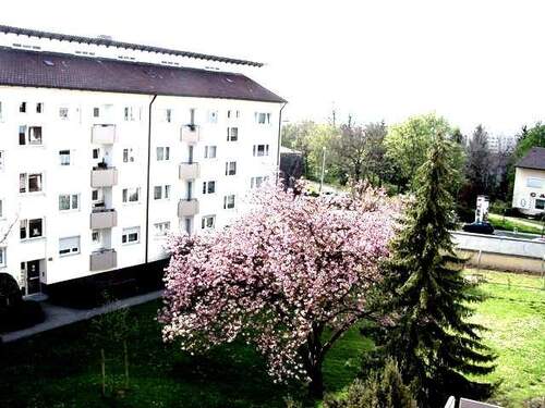 Eingangsseite mit Grünanlage - 