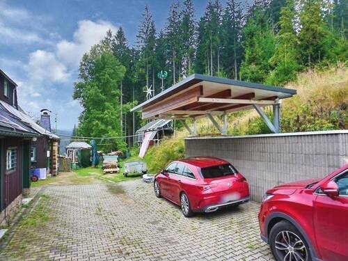 Zufahrt mit Carport - 
