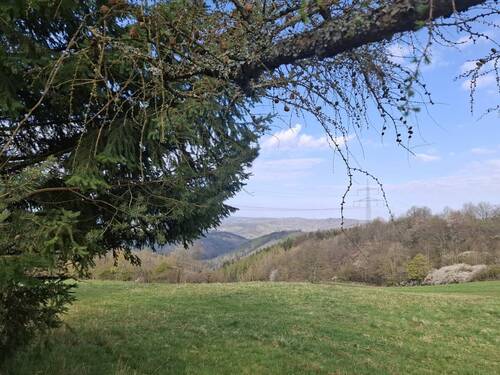 Garten - Einfamilienhaus in Leutenberg / Schweinbach