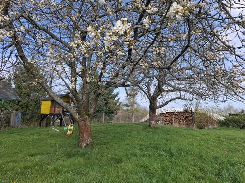 Garten - Einfamilienhaus mit 161,00 m&sup2; in Leutenberg / Schweinbach zum Kaufen