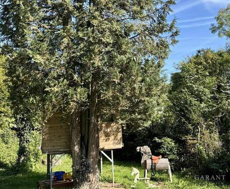 großer Garten - Charmantes Einfamilienhaus mit traumhaft großem Garten - ein Familienparadies mit Baumhaus