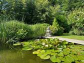 Gartenteich - 