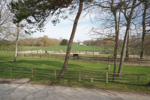 Ausblick - 