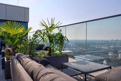 Dachterrasse - 