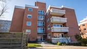 DSC_3946.jpg - 