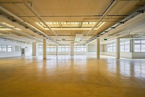 Vielfältige Produktionshalle mit Büros - 