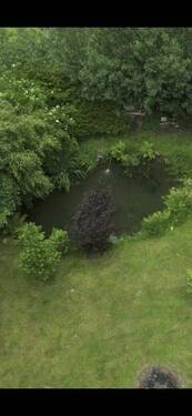 Bild 14 - 