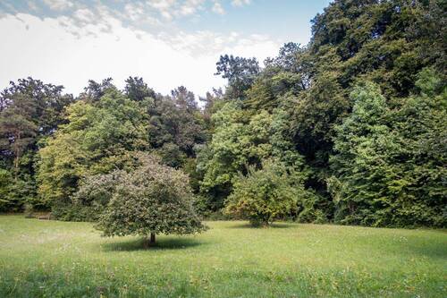Baugrundstück nahe Wald/See - Bis 1238 qm in Seenähe und direkt am Wald: Ruhiges Baugrundstück in Stolzenhagen