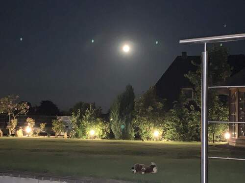 Gartenansicht - 