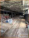 Stallung Innen - 