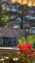 Südterrasse - 