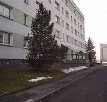 1-Raum-Wohnung, ideal für Berufseinsteiger, Single - Reinsdorf