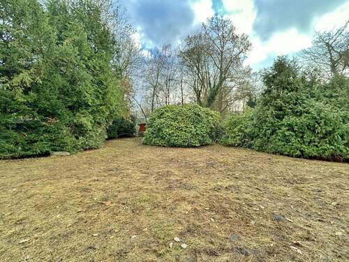 ... mit grenzenlosen Möglichkeiten - 