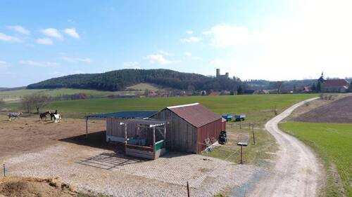 Pferdekoppel - 
