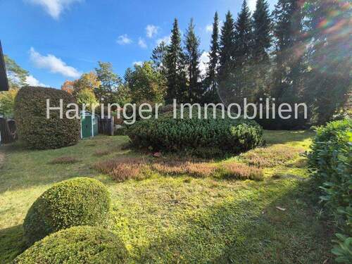 Das Grundstück - Bungalow mit 124,00 m&sup2; in Buchholz zum Kaufen