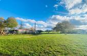 Wiese hinter der großen Scheune - 
