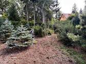 Grundstück- Wald - 