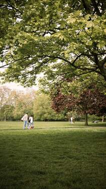 Botanischer Volkspark - 