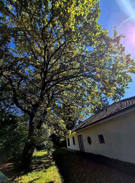 Teilansicht Grundstück - Grundstück in Fürth