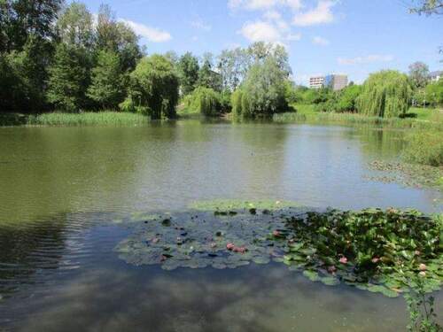 Parkanlage Ihlenpool - 